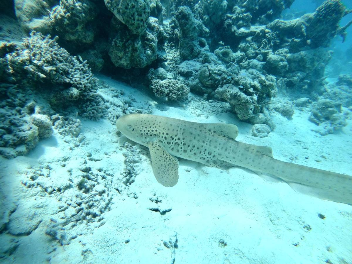 Kahanbu Ocean View Thulusdhoo Exterior foto