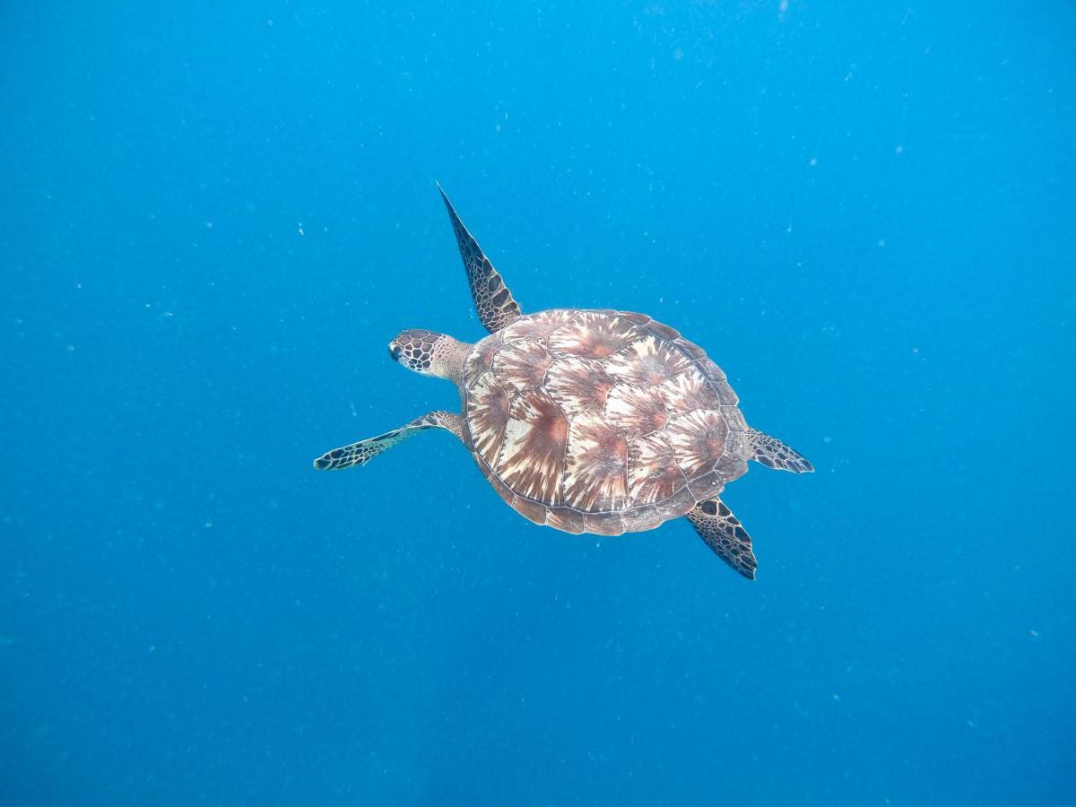 Kahanbu Ocean View Thulusdhoo Exterior foto